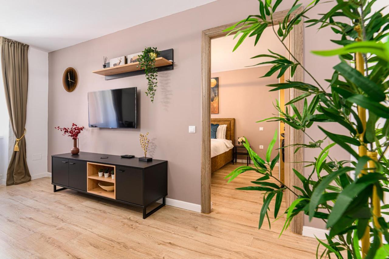 Schei Gate Apartment Брашов Экстерьер фото
