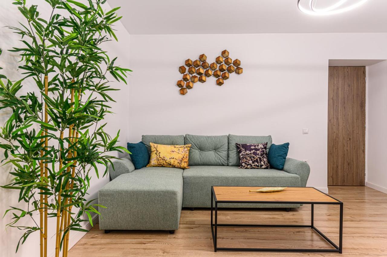 Schei Gate Apartment Брашов Экстерьер фото