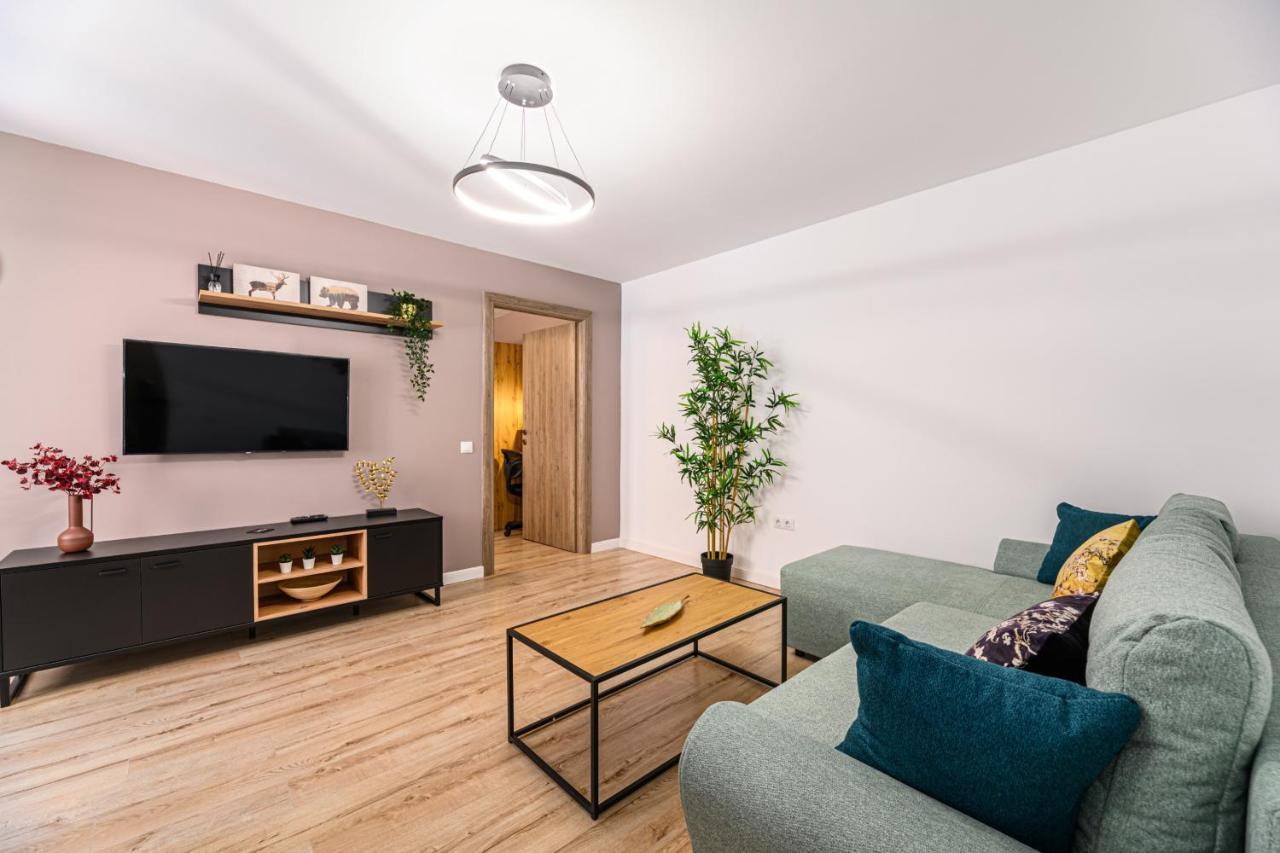 Schei Gate Apartment Брашов Экстерьер фото