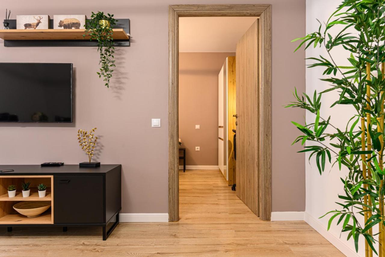 Schei Gate Apartment Брашов Экстерьер фото